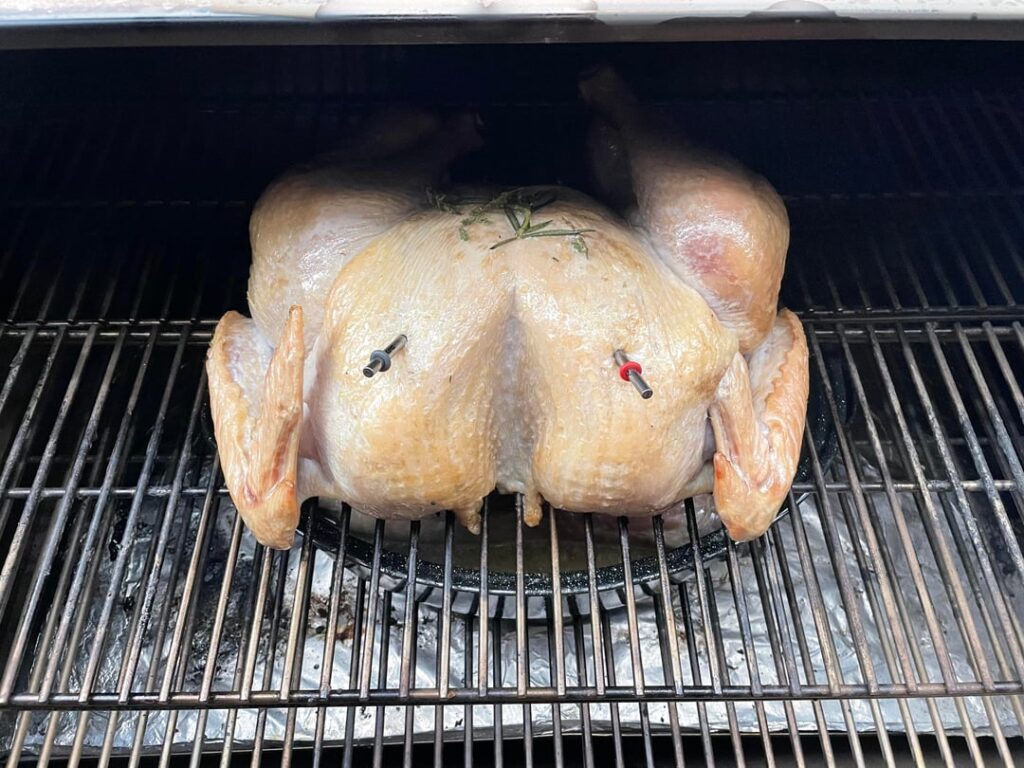 Test Turkey (My first turkey ever)