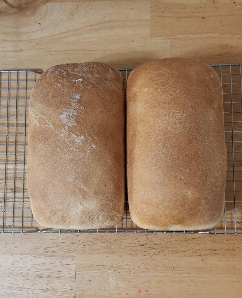 Fresh, Hot Loaves