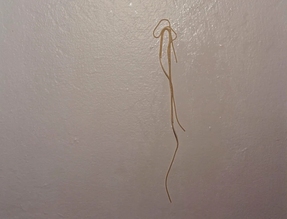 Cooked pasta will indeed stick to a wall but that doesn't mean it's a good way to determine whether it's done.