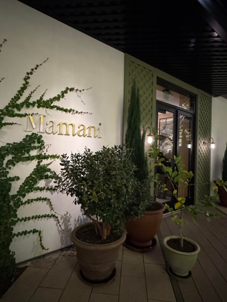 Mamani (*) – Dallas, November 2025 Mamani (*) - Dallas, November 2025