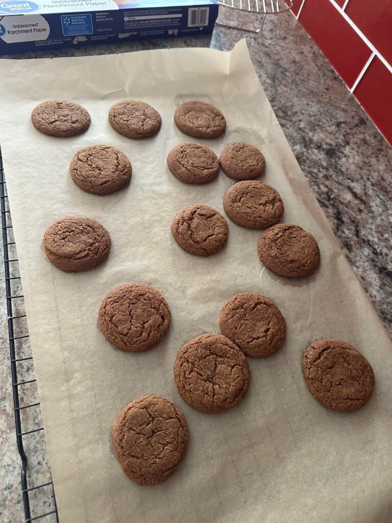 Sally is the GOAT! Made her pecan pie, carrot cake & soft molasses cookies, & they were amazing.
