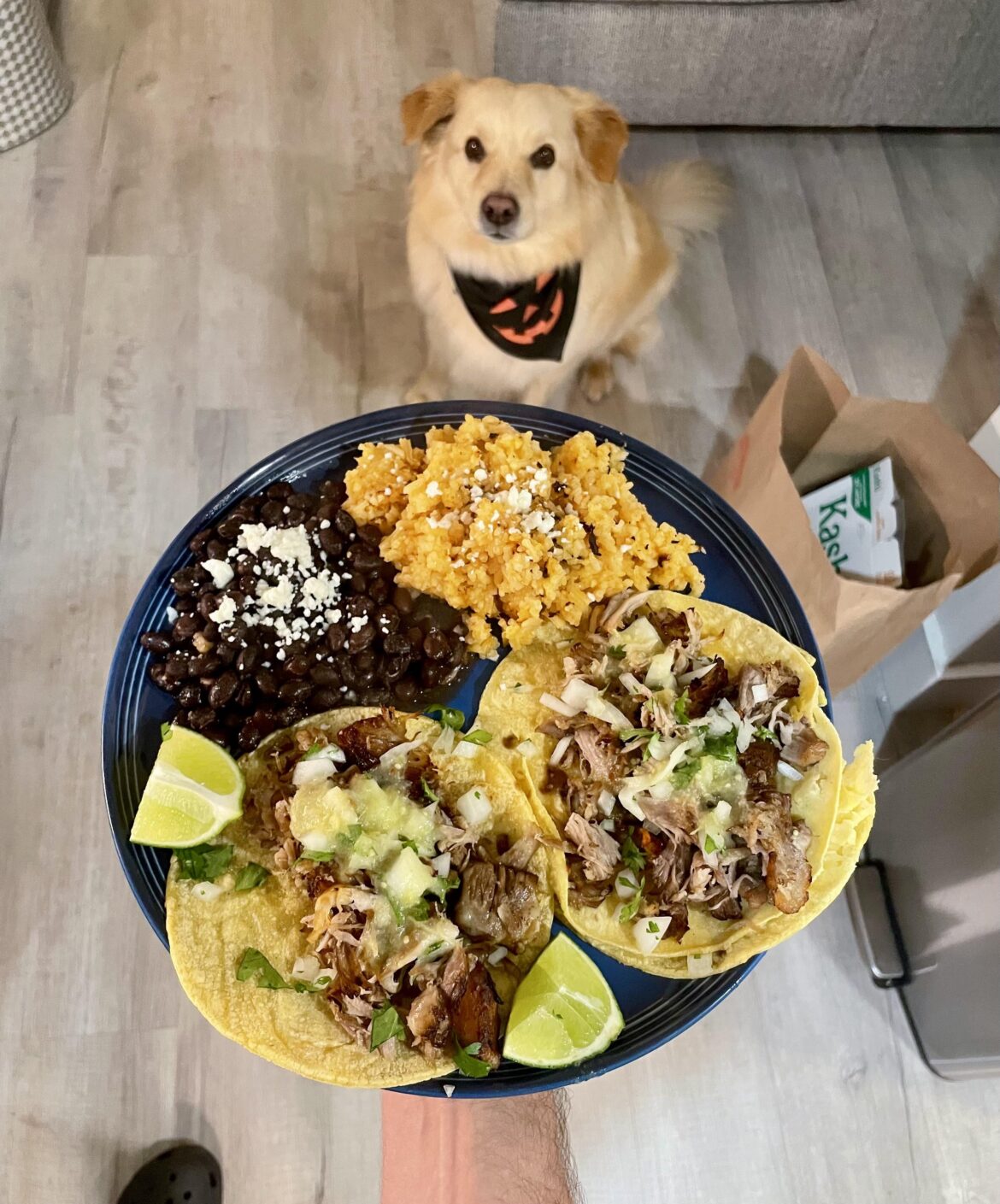 Halloween carnitas tacos with Mexican style rice and black beans ʕ•ᴥ•ʔ