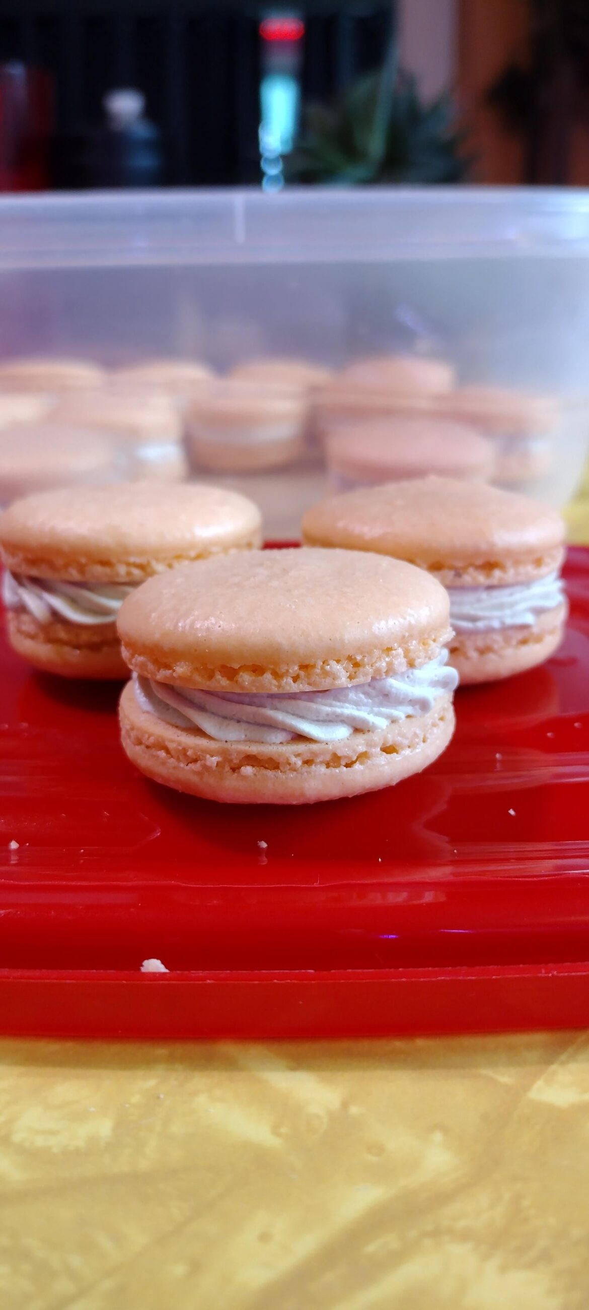 Salted Caramel Macarons