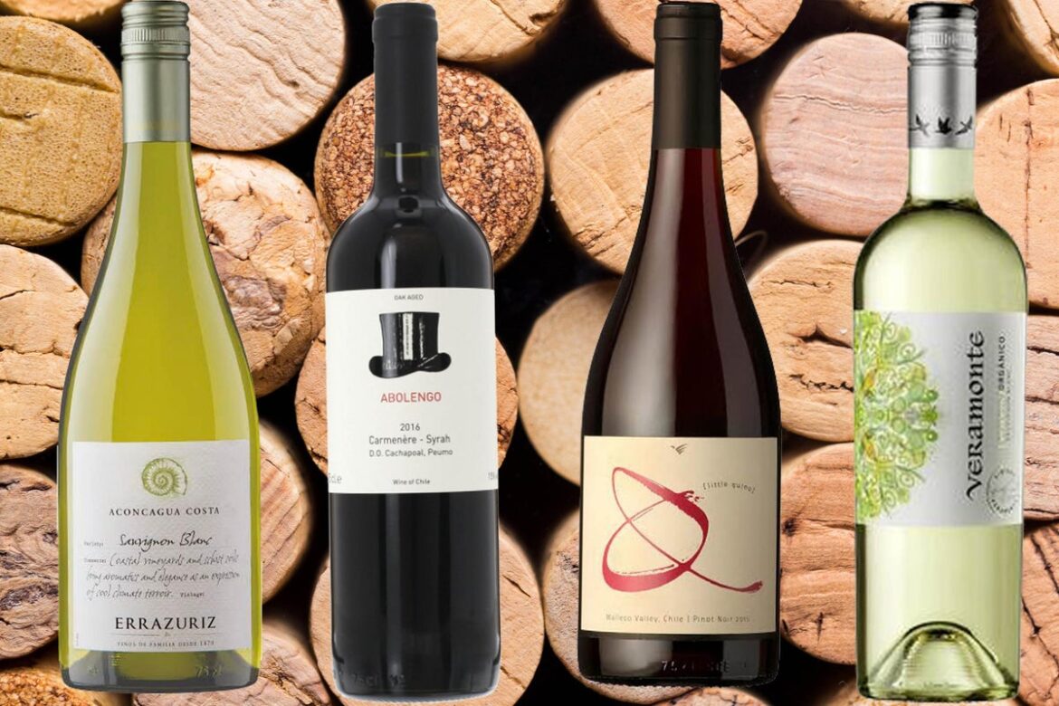 Best Chilean wines: From chardonnay to pinot noir Best Chilean wines: From chardonnay to pinot noir
