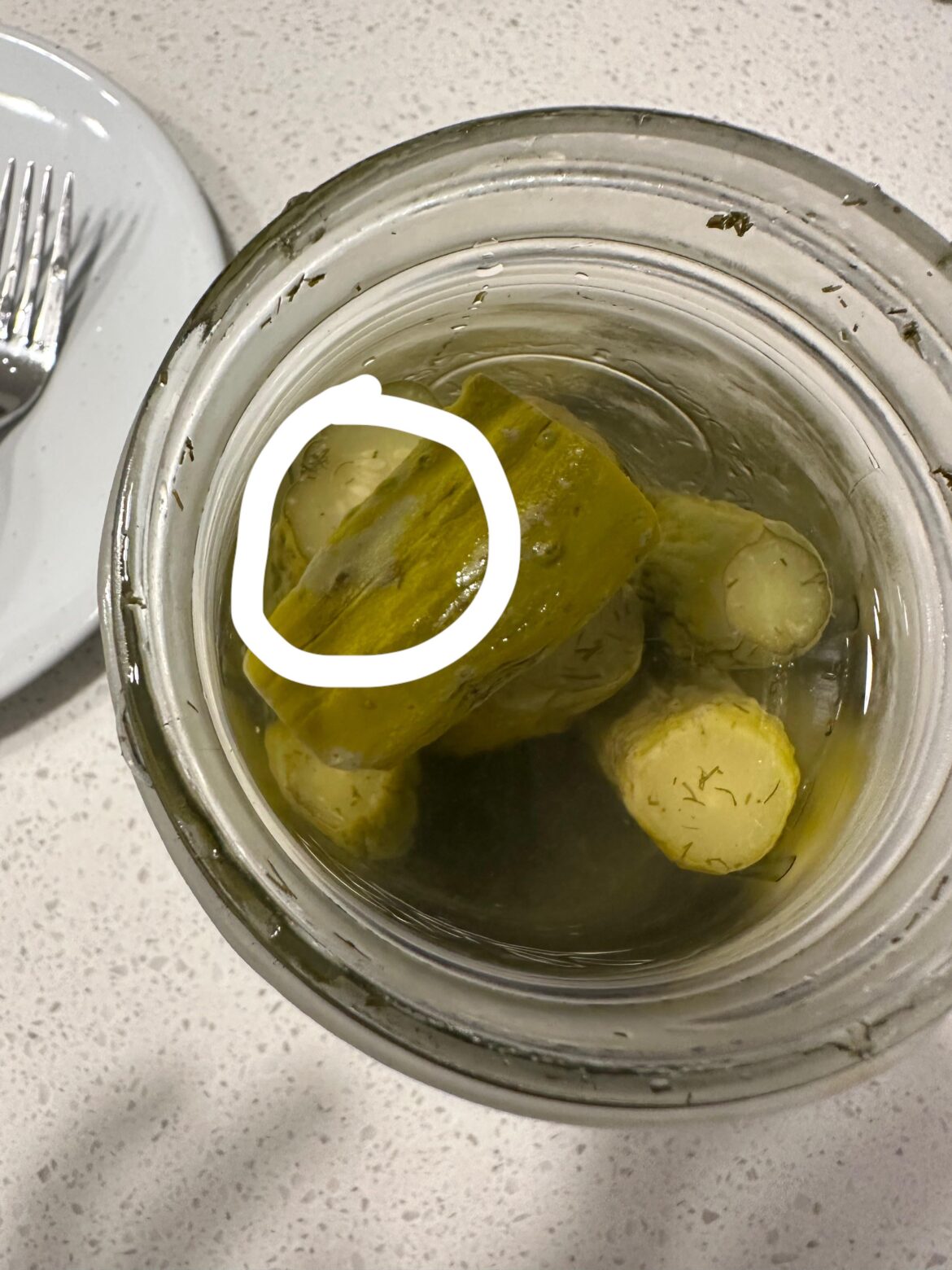 Pickles have a blueish tinge Pickles have a blueish tinge