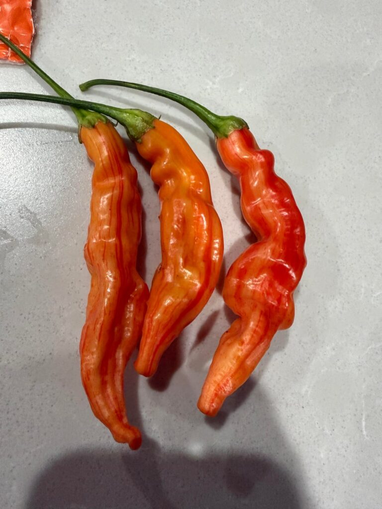 I thought we were done