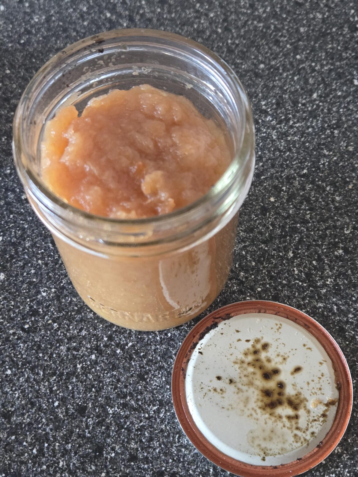 Applesauce - is this mold or caramelized sugars?