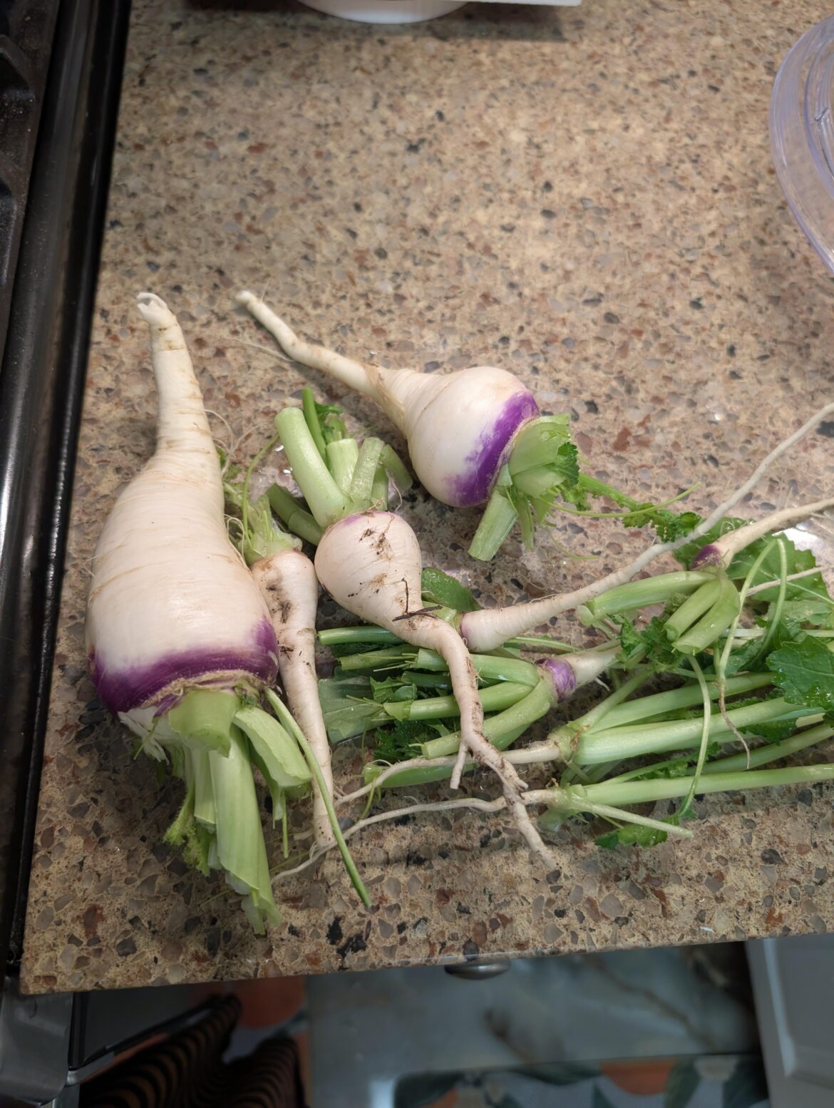 Harvested my collard greens