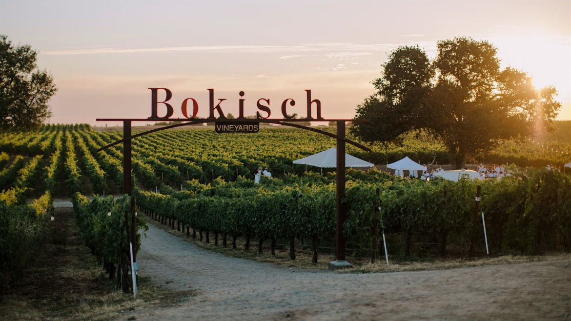 Bokisch Brings Spanish Grapes and Culture to California Wine Country Bokisch Brings Spanish Grapes and Culture to California Wine Country