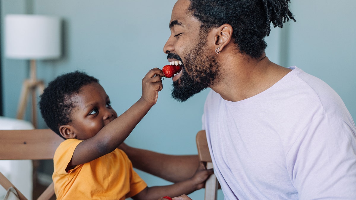 boy feeds father a strawberry