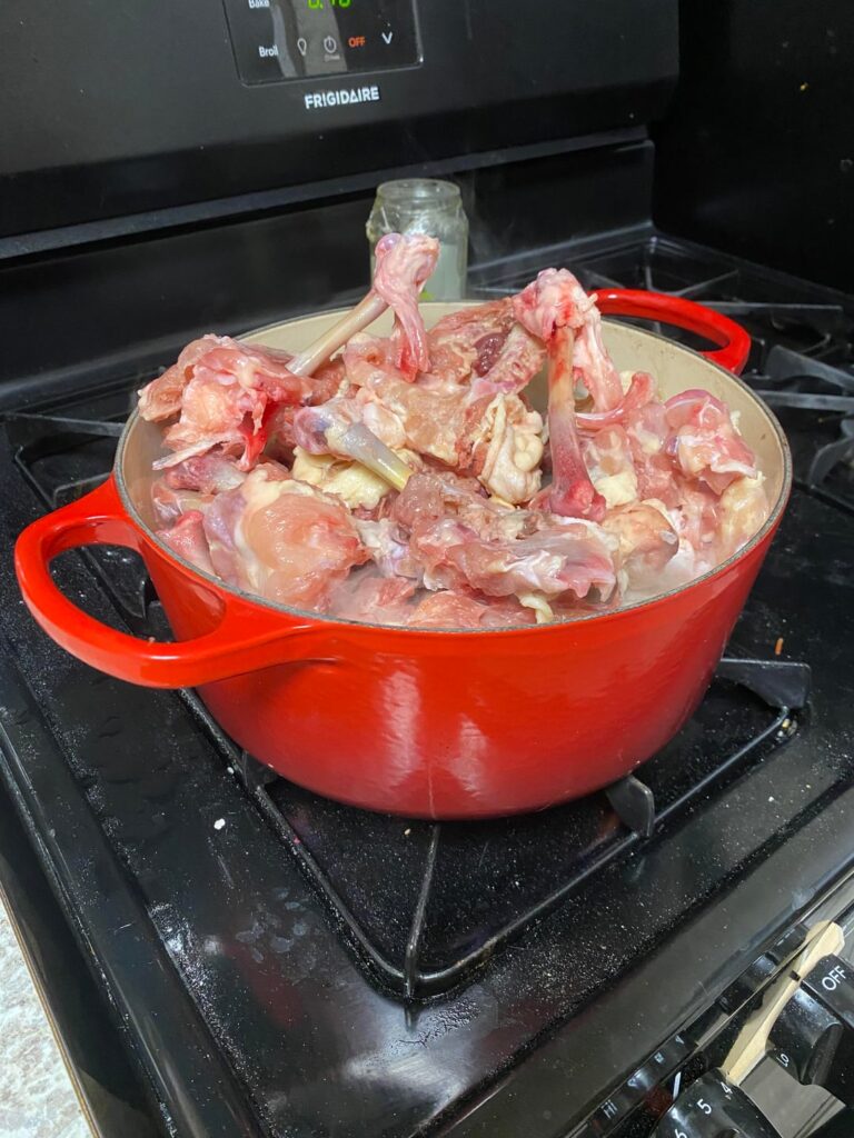 Advice for chicken stock?