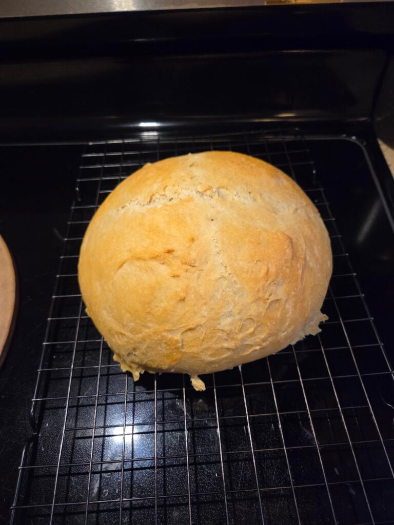Made my first sourdough yesterday.