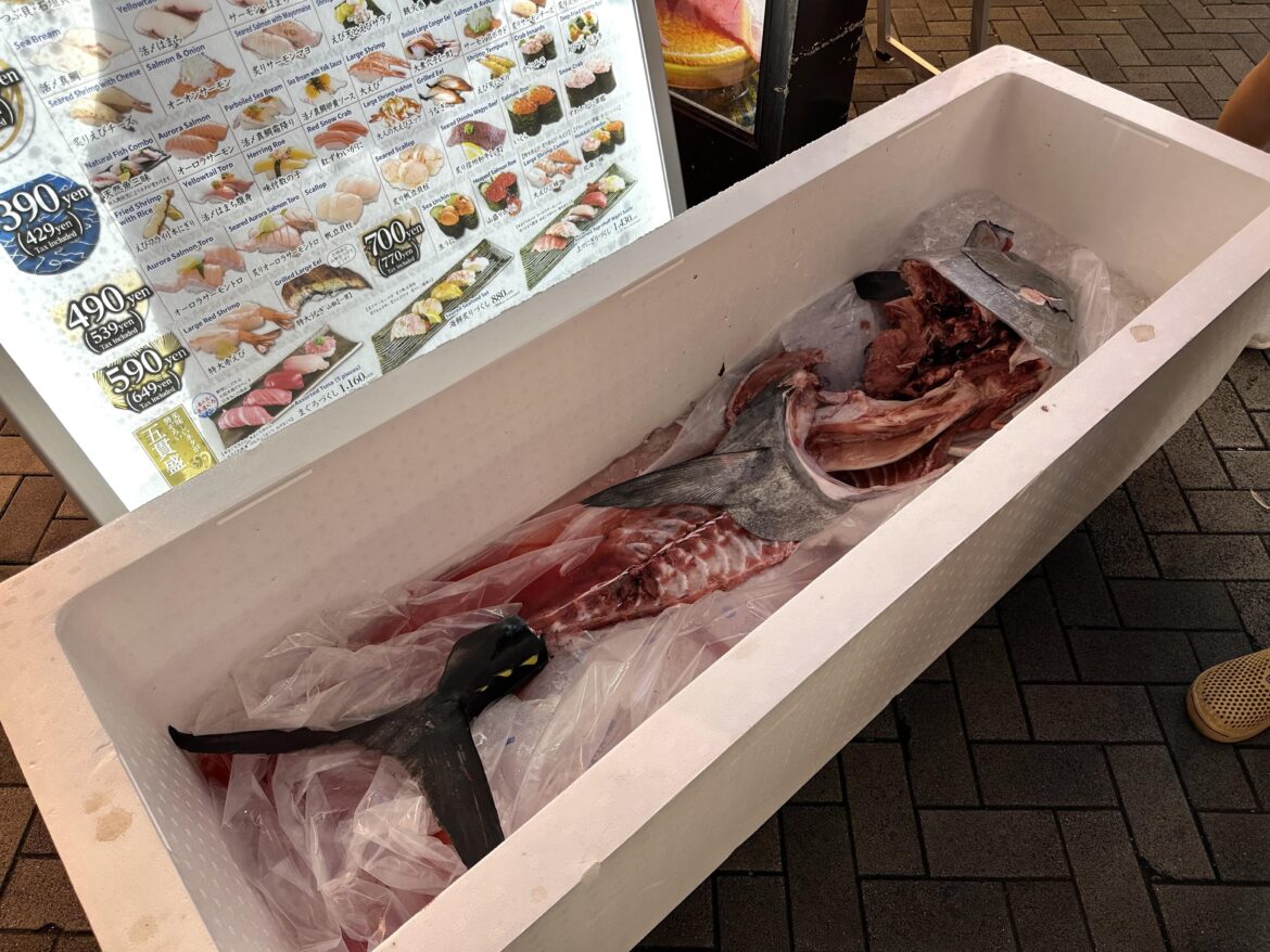 A Sushi place in Osaka put the whole tuna remains on display