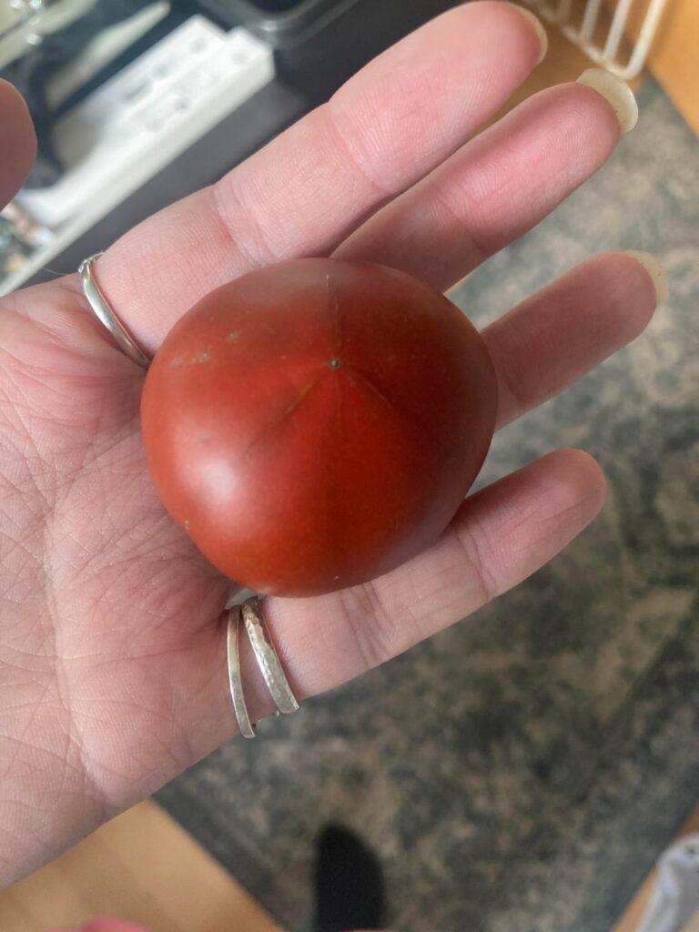 Help me ID this beauty. Help me ID this beauty.