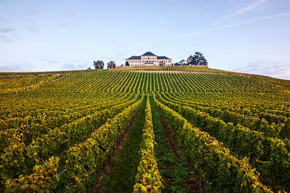No.2 in the world … Schloss Johannisberg in Rheingau, Germany.