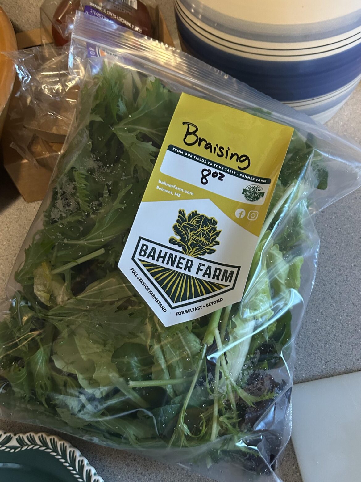 Anyone have a great (vegetarian) recipe for these guys?