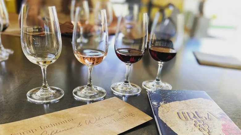 Urla Wine Tasting at the Urla Winery