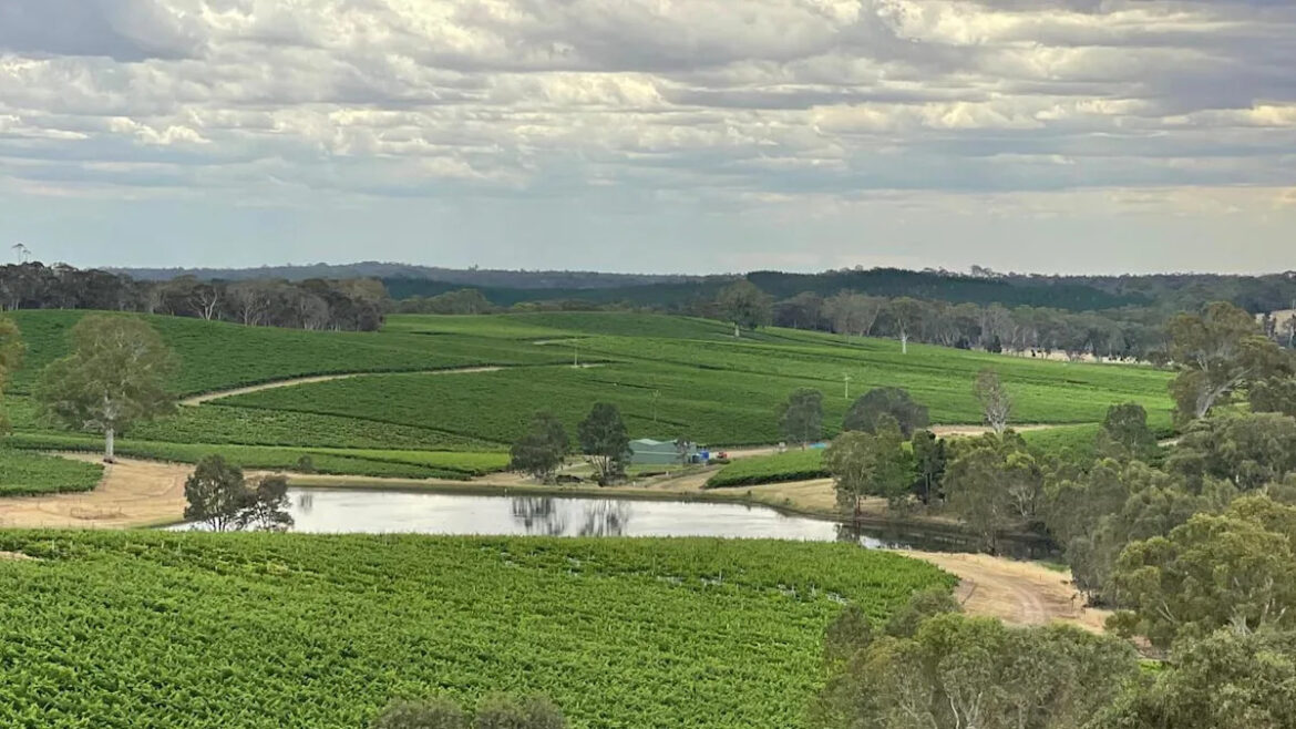 Xmas cash splash for hundreds of venues