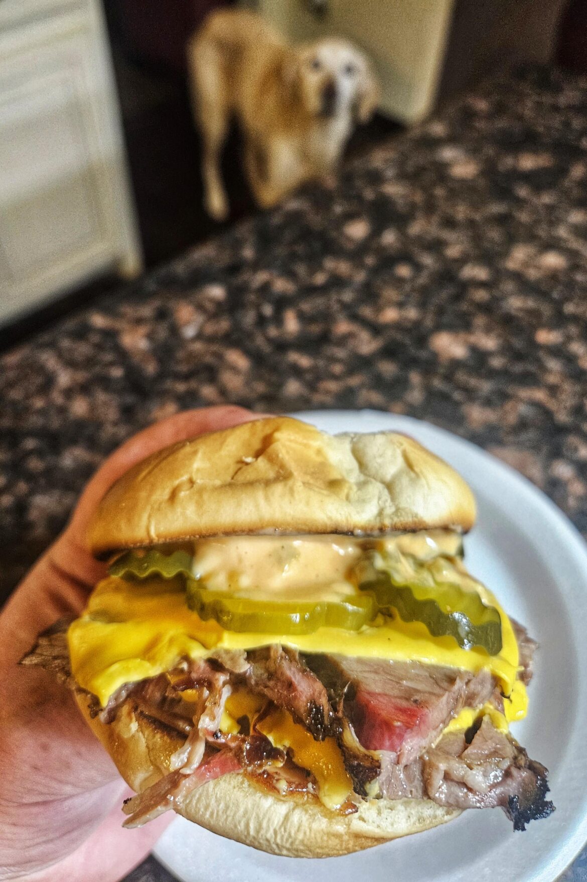 Brisket double cheese.