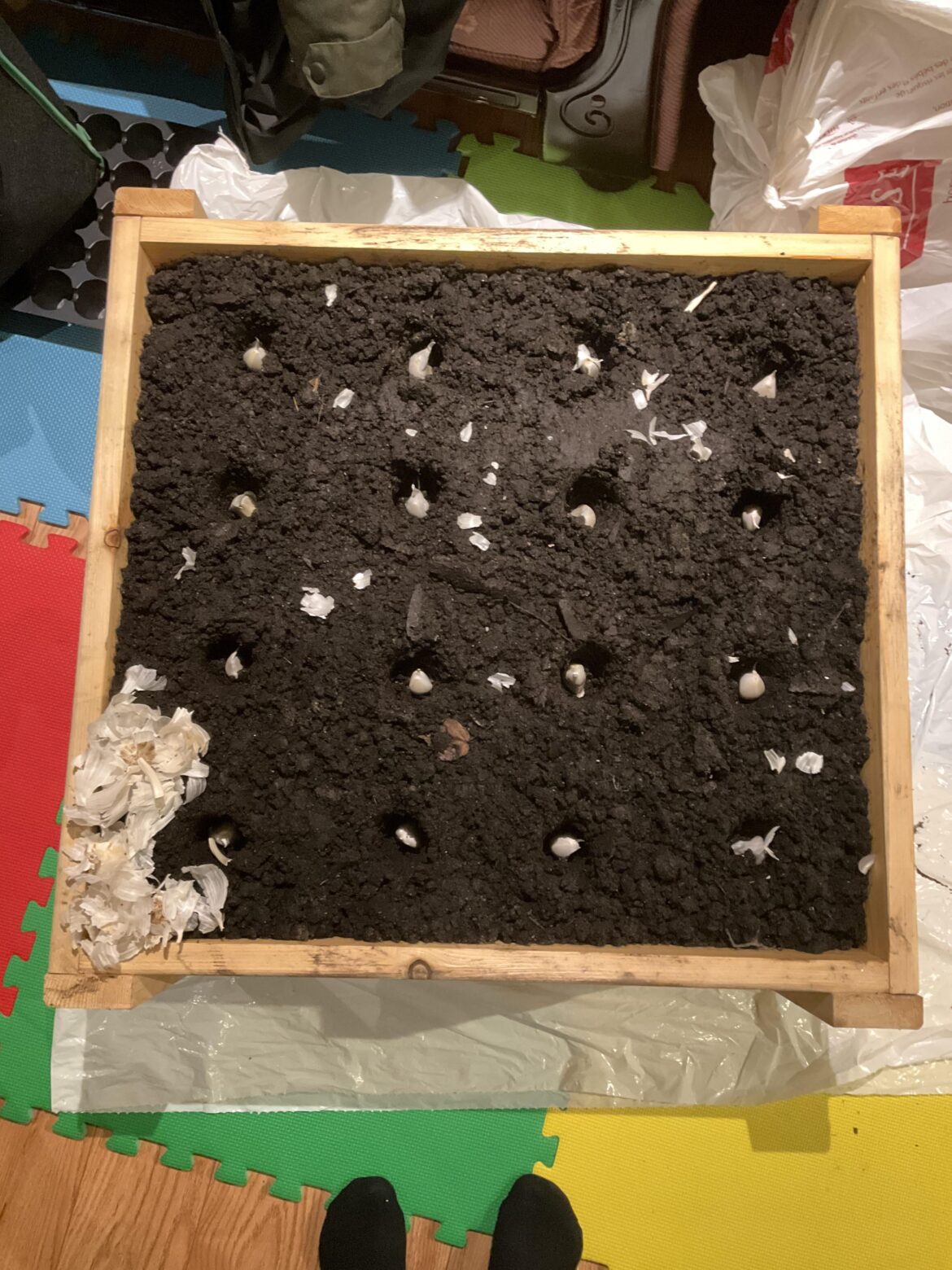 Finally planted my garlic! Finally planted my garlic!