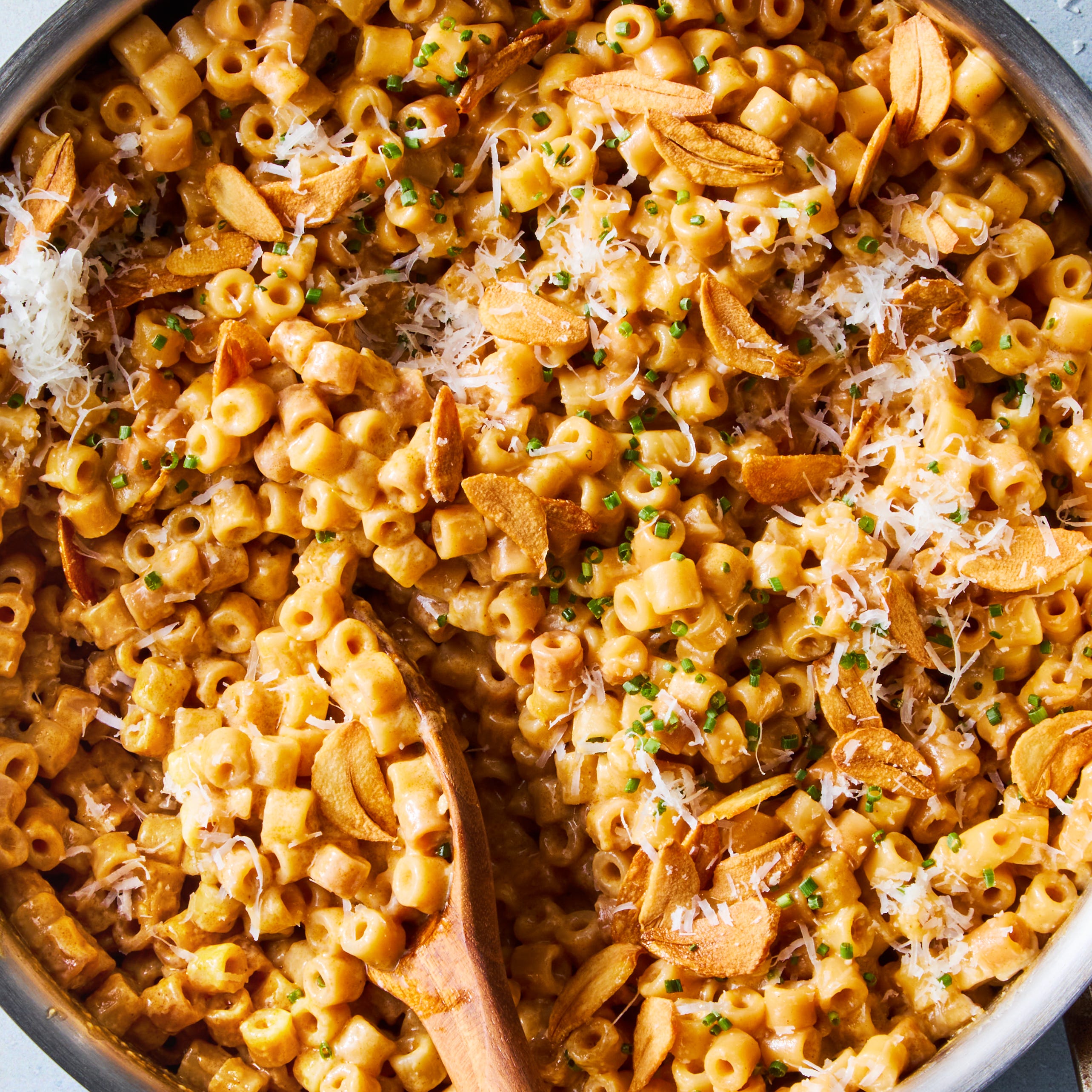 creamy garlicky alfredo ditalini