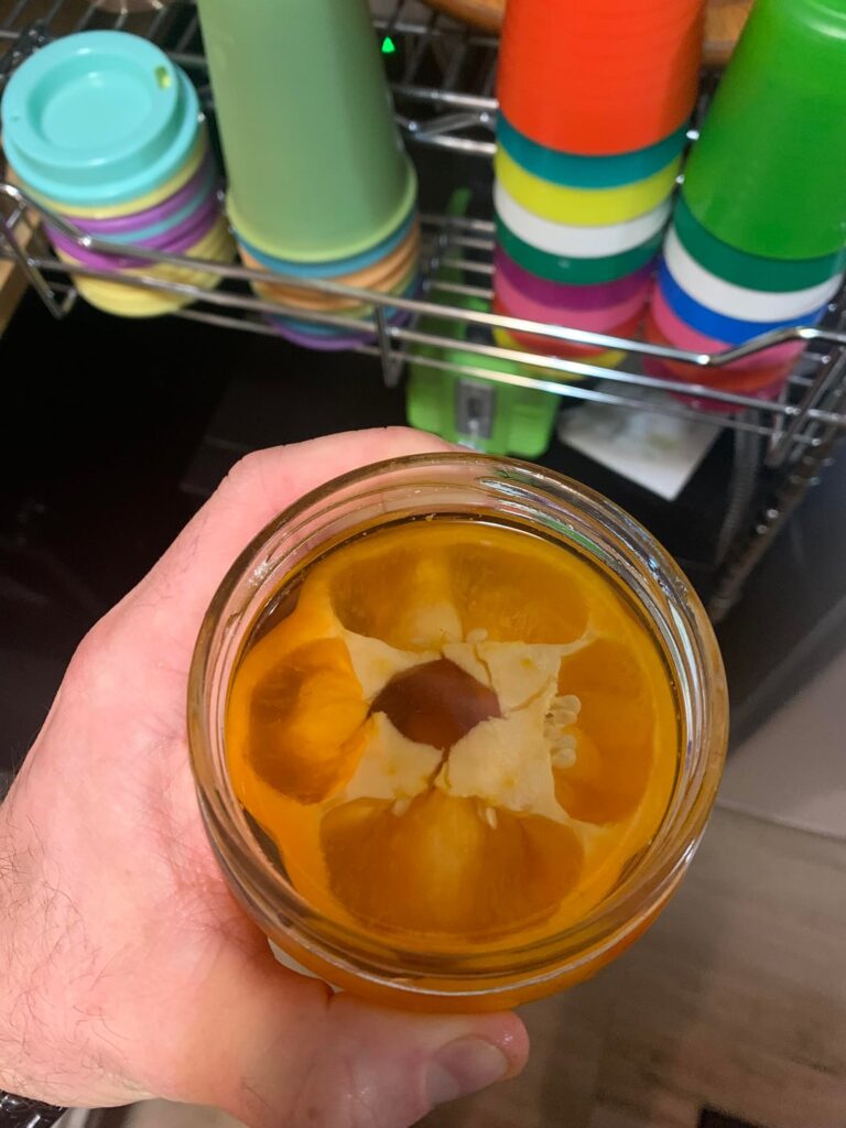 To the homie who suggested a pepper top instead of cabbage leaf… To the homie who suggested a pepper top instead of cabbage leaf…