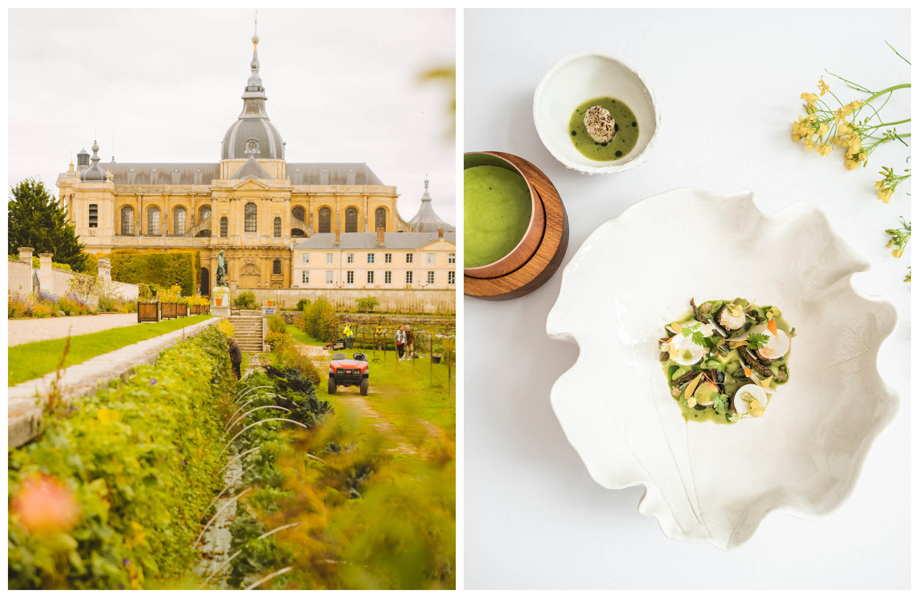 The Potager du Roi (king's kitchen garden) created in 1683. A dish of white asparagus from the Coubert farm, by Rémi Chambard, chef of Le Corot restaurant close to Versailles. © Joann Pai/The MICHELIN Guide (d) - © Chloé Artières/Le Corot