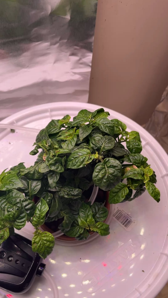 When moving inside…