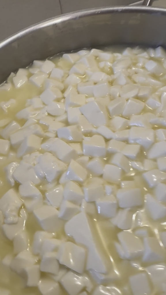 Love this part of making cheese!