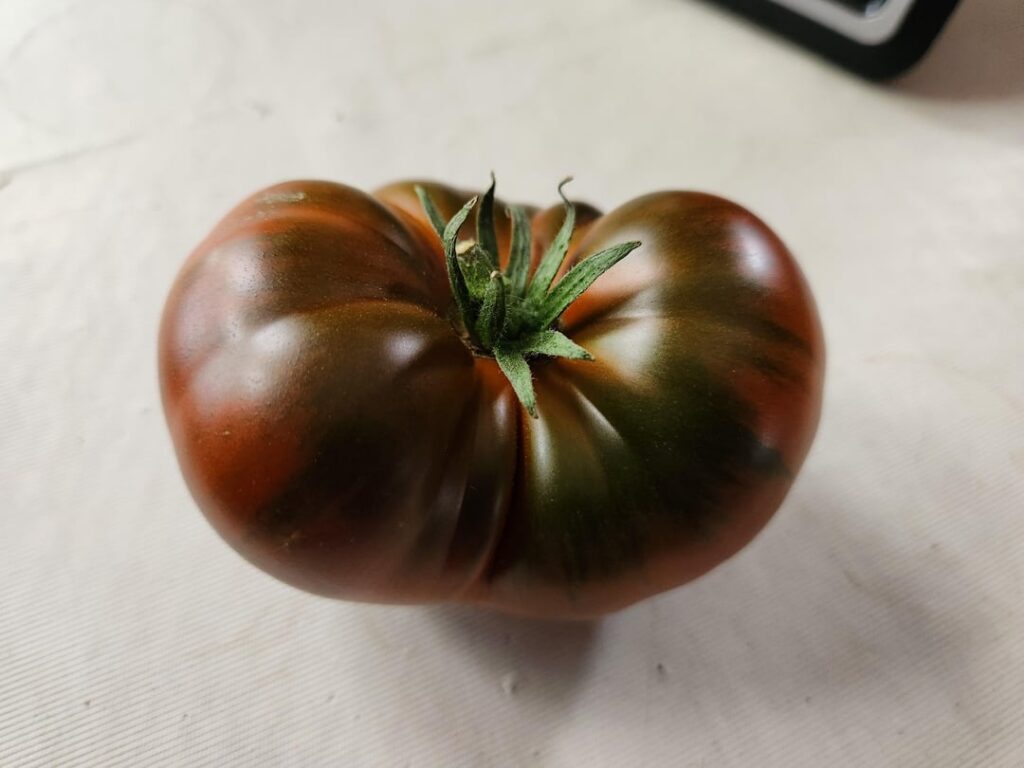 Black Krim or Cherokee Purple?