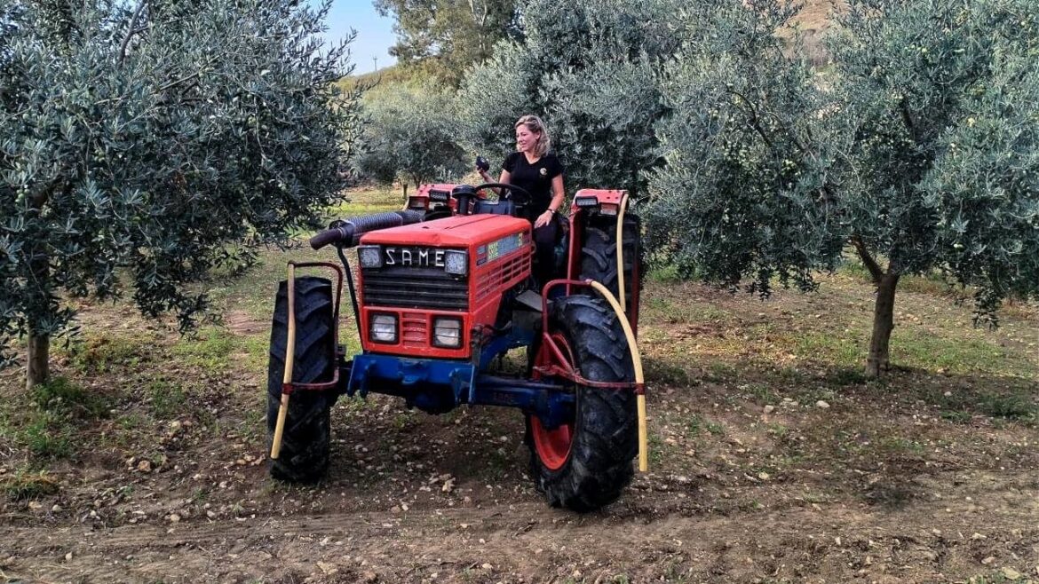 A Sicilian Olive Oil That Blends Heritage, Design and Sustainability Olive Oil Times