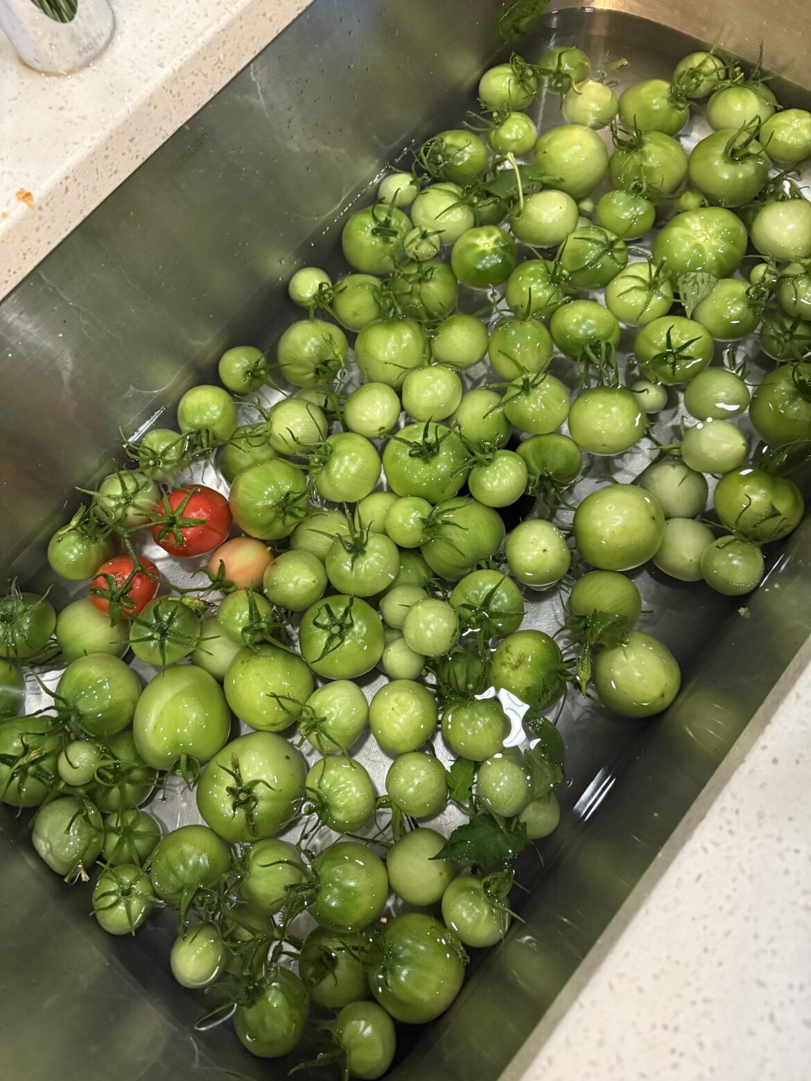 It got too cold too quick :(