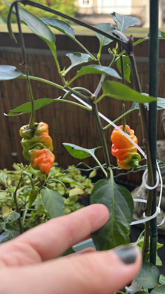 How to get these red faster