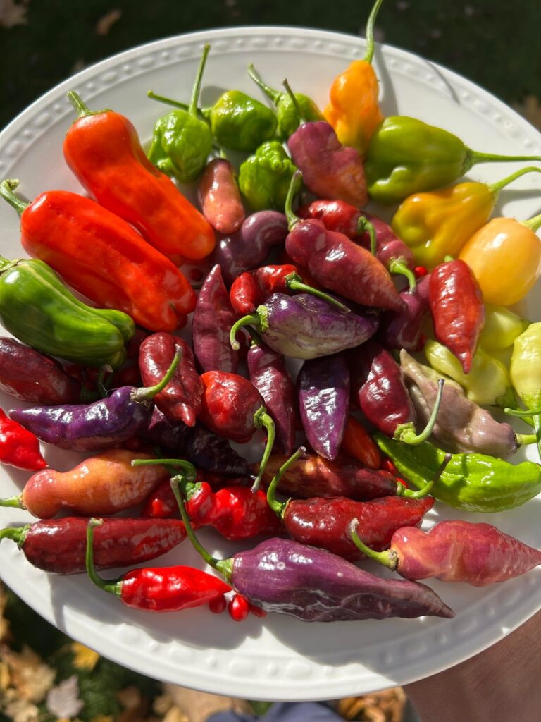 Final pick sauce Final pick sauce