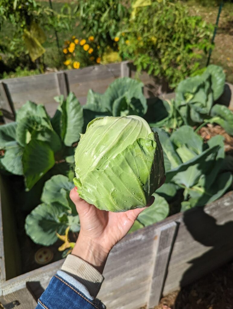 And with that, the 2025 season comes to an end!