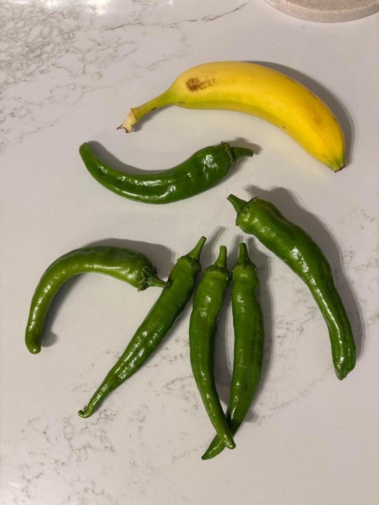 Need help identifying