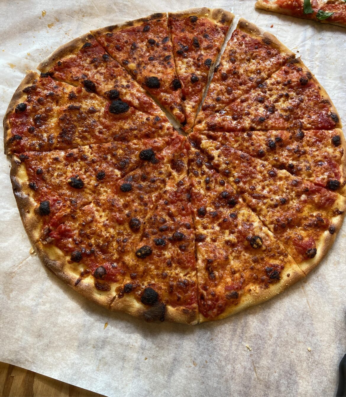 Day 11 of making pizza everyday. Plain cheese.