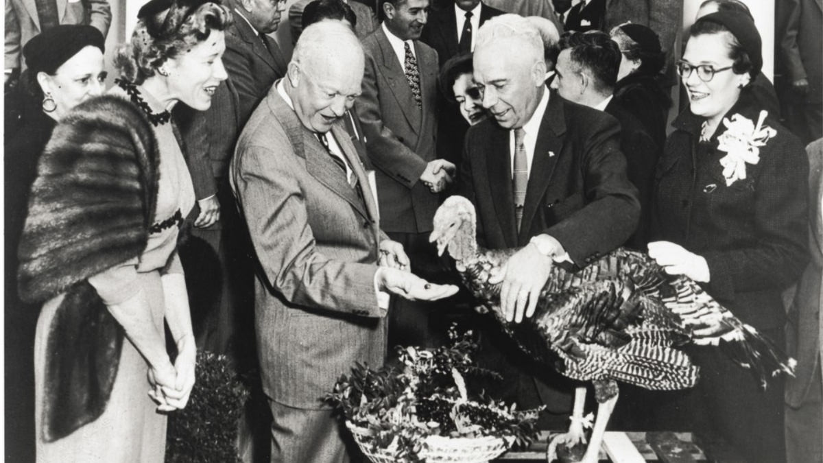 A picture of President Eisenhower smiling at a turkey during a pardon ceremony at the White House.