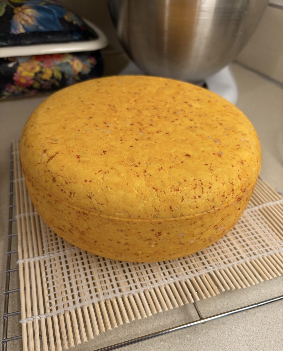 A new washed curd cheese recipe under development. Gochugaru pepper and garlic cheese.  First wheel is drying, and I haven’t named it yet. I have high hopes!