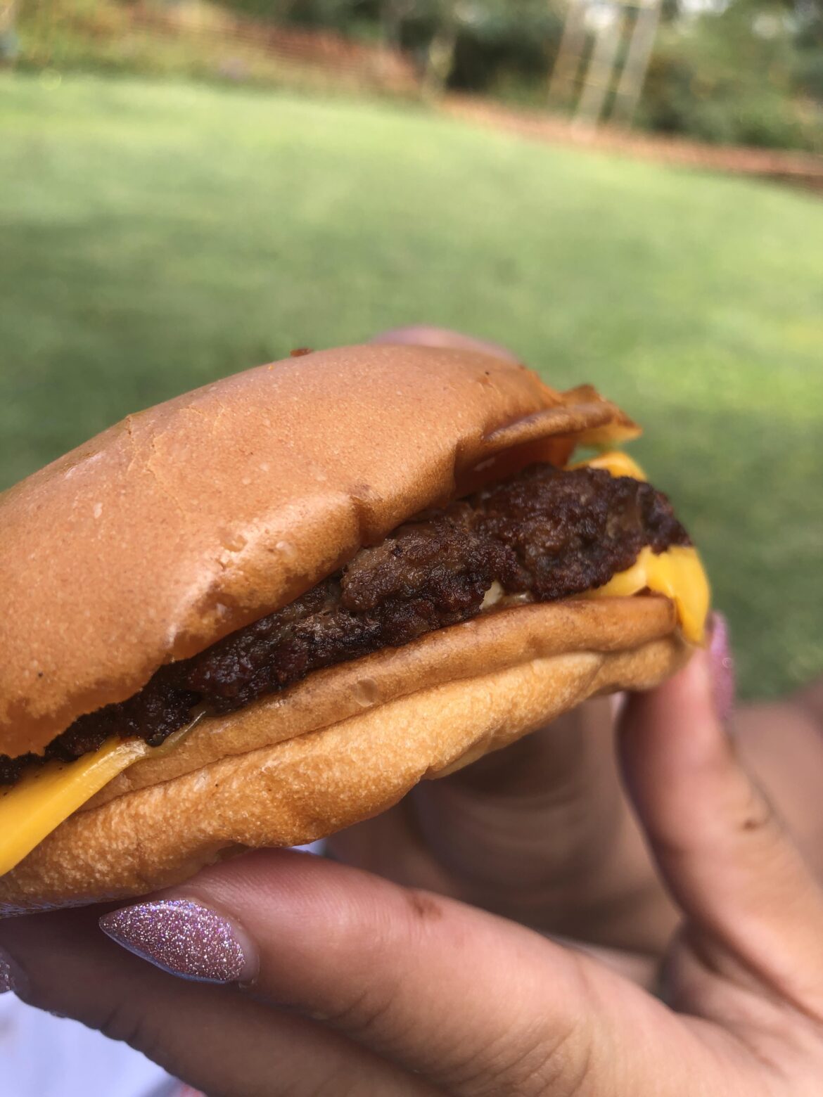 Stupid and sexy cheeseburger