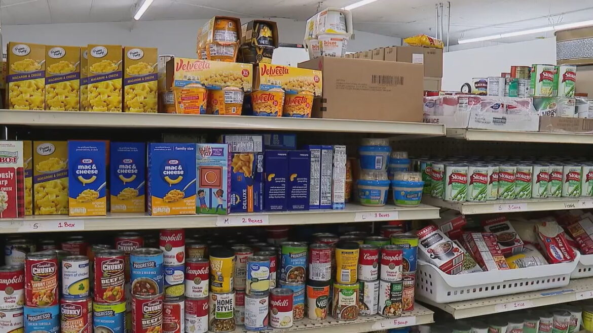 Maine launches new tool to help people find food assistance WGME
