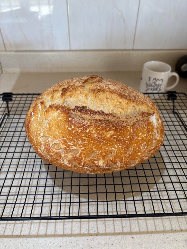 Stand mixer, yay or nay?