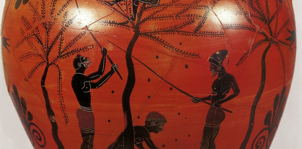 how ancient Greeks, Romans and early Christians used olive oil how ancient Greeks, Romans and early Christians used olive oil