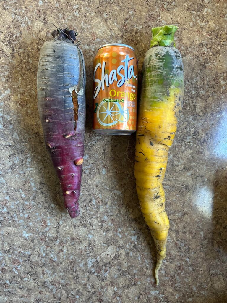 Don’t ask how, they were neglected as shit Don’t ask how, they were neglected as shit