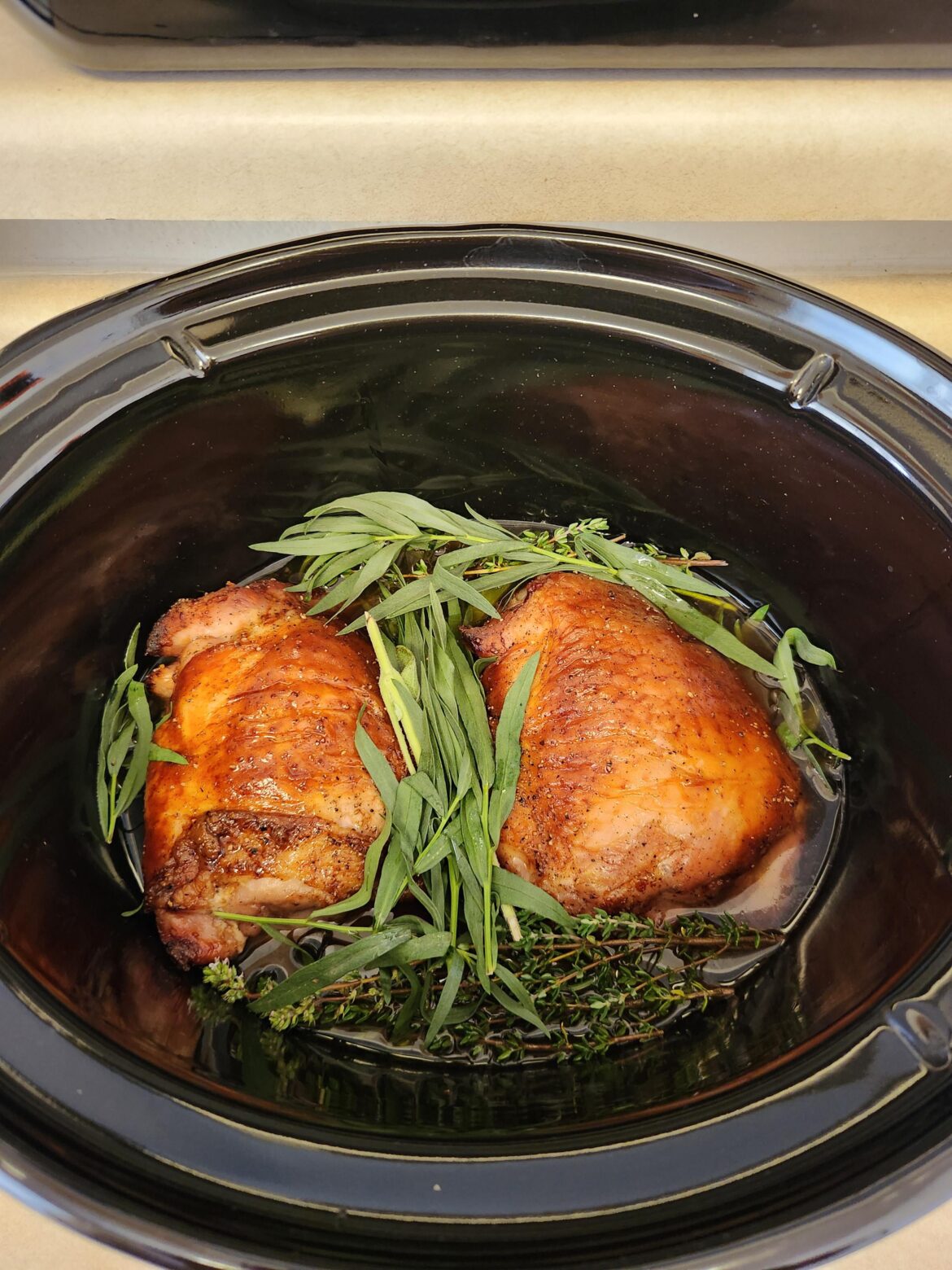 Happy Thanksgiving Everyone