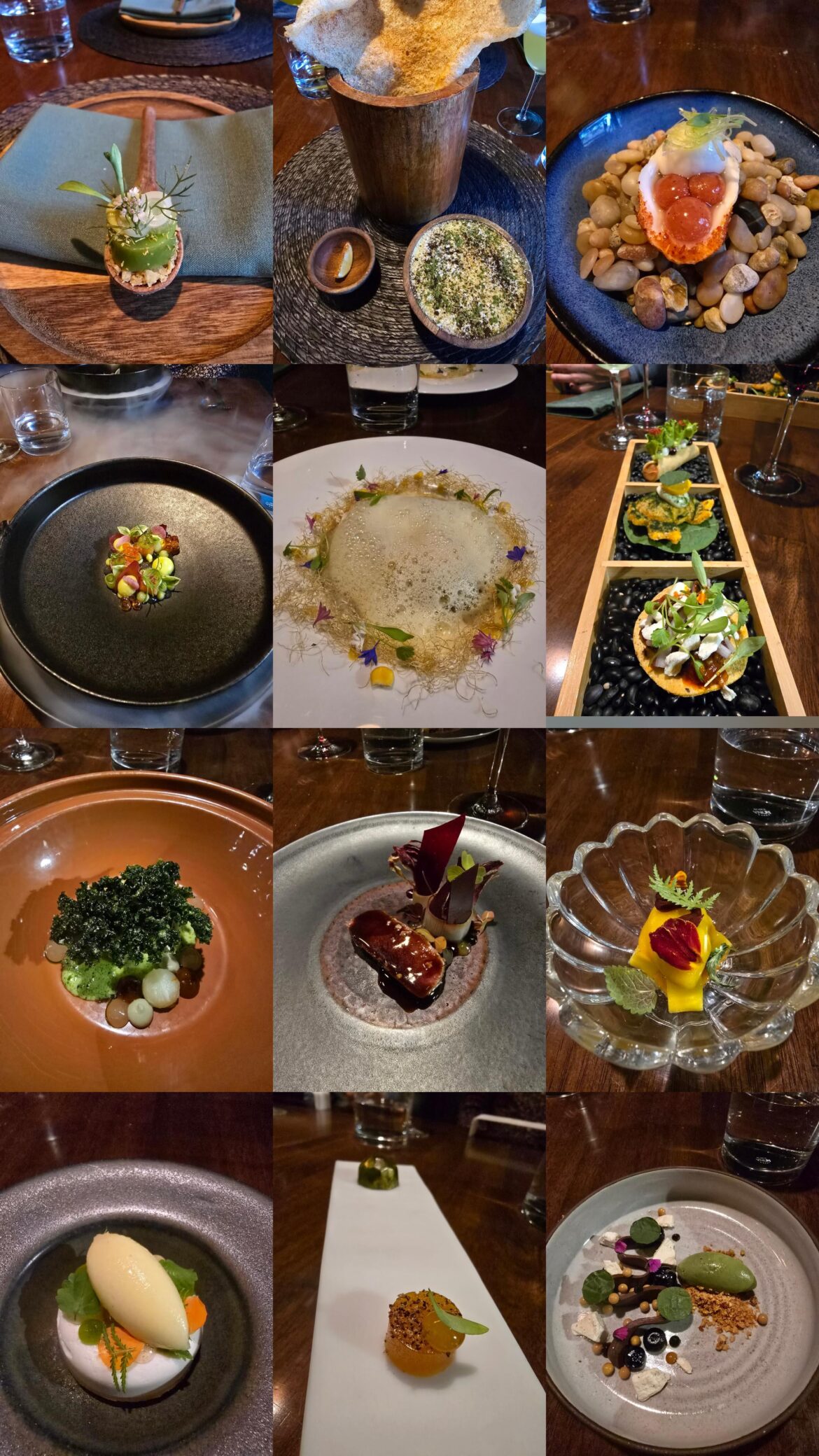 Cariño tasting menu -12 courses