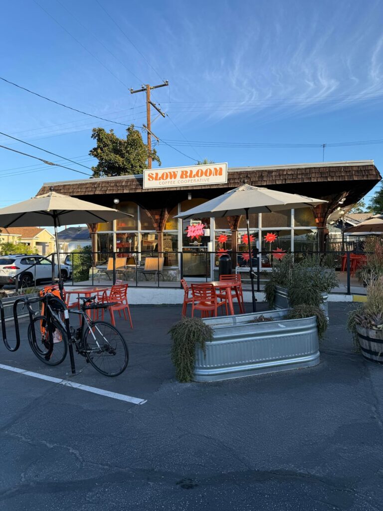 Three Faves from Redlands, CA – Slow Bloom | Fireproof | Landmark Three Faves from Redlands, CA - Slow Bloom | Fireproof | Landmark