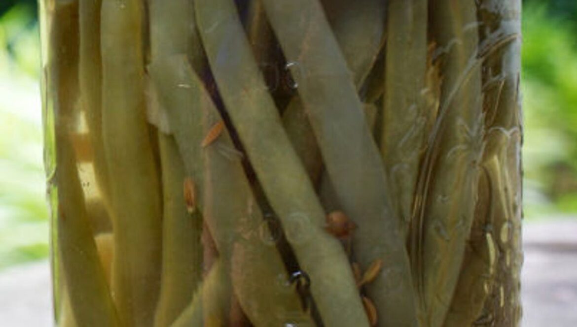 There’s a taste of India in this jar of green beans There's a taste of India in this jar of green beans