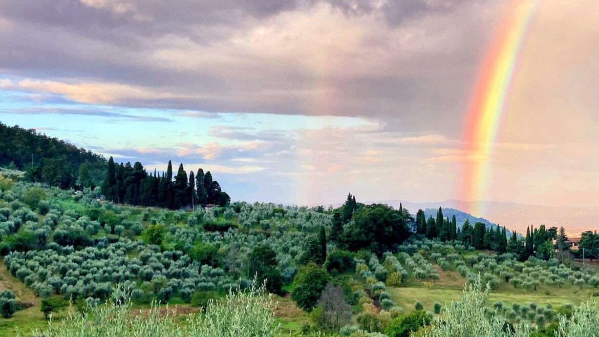 Sustainability Takes Root in the Hills Above Florence