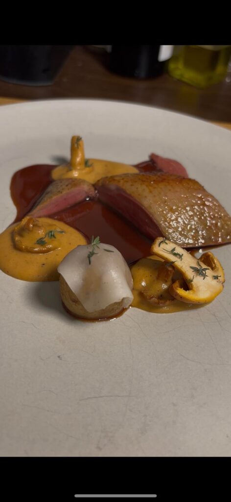 Pigeon, girolles, red wine. Pigeon, girolles, red wine.